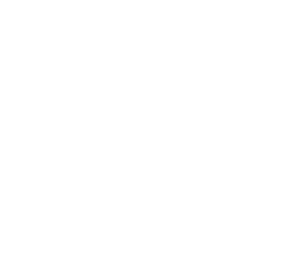 Hosting Service